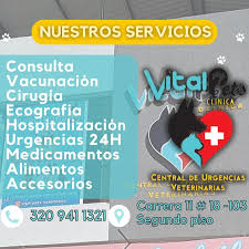 URGENCIAS VETERINARIAS VITALPETS 24 HORAS