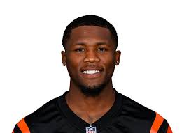 Tee Higgins - Cincinnati Bengals Wide Receiver - ESPN
