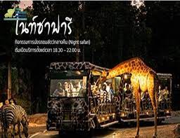 เชียงใหม่ ไนท์ ซาฟารี รีสอร์ท, เมืองเชียงใหม่: à¹„à¸™à¸— à¸‹à¸²à¸Ÿà¸²à¸£ à¹€à¸Š à¸¢à¸‡à¹ƒà¸«à¸¡ à¸ à¸šà¸ªà¸§à¸™à¸ª à¸•à¸§ à¹€à¸Š à¸¢à¸‡à¹ƒà¸«à¸¡ à¸™ à¸²à¹„à¸›à¹„à¸«à¸¡ à¸¡ à¸­à¸°à¹„à¸£à¸™ à¸²à¹€à¸— à¸¢à¸§