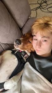 Do basset hounds cause chaos?