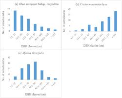 Image result for Tacazzea conferta