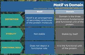 Difference Between Motif And Domain Compare The Difference Between Similar Terms
