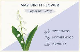 May is a month of spring in the northern hemisphere and autumn in the. Ankoraa The Complete Guide Of Birth Month Flowers Part 6 May The Lily Of The Valley The Springtime Flower Lily Of The Valley Is The May Birth Flower The Sweetly Scented Woodland