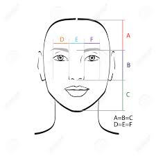 Maybe you would like to learn more about one of these? Perfect Face Proportions Template Vector Illustration Royalty Free Cliparts Vectors And Stock Illustration Image 86487864