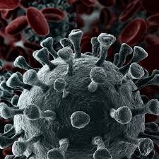 Meglódult itthon a koronavírus miatti halálozások, valamint a kórházban ápoltak száma. Koronavirus Hirek Informaciok Pandemia Hu Home Facebook