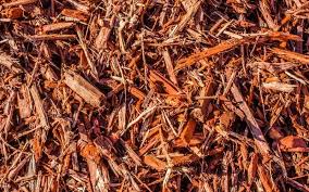 Advice vegetable gardening choosing the right mulch for vegetable gardens. The Pros And Cons Of Using Cedar Mulch In Gardens Gardening Chores