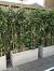 Bamboo Gazebo