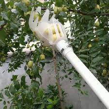Garten Werkzeuge Obst Picker Gartenarbeit Fruchte Sammlung Picking Kopf Werkzeug Obst Catcher In 2020 Gartenarbeit Garten Gewachs
