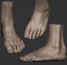 Ran Manolov Anatomy For Artists Anatomy Reference Body Anatomy