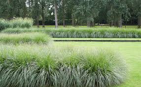 sj te wommelgem tuin ideeen tuin siergrassen
