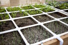 The rows are planted in an offset, or diamond spacing. The Pros And Cons Of Square Foot Gardening What Is Square Foot Gardening
