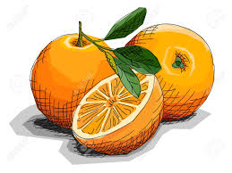 Check spelling or type a new query. Bosquejo De Las Artes Graficas Del Ejemplo De Dibujar Naranjas De La Fruta Con Mitad Ilustraciones Vectoriales Clip Art Vectorizado Libre De Derechos Image 99834779