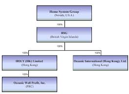 Having decided on a functional structure, a company might create the organization chart shown in figure 1. Lowes Organizational Chart Lares