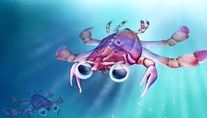 Image result for Crabbea nana