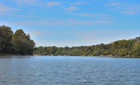 Find 2 listings related to four rivers insurance in jonesville on yp.com. Little River The Tensas River The Black River The Ouachita River