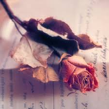 We did not find results for: Gambar Bunga Patah Hati Kumpulan Gambar Bunga