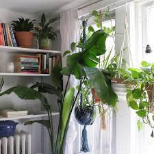 Small and gradual adjustments performed around your home can go a long way towards reducing your carbon footprint. Best Home Organization Ideas Eco Friendly Low Cost Diy Options To Try Curbed