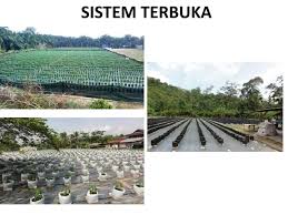 Menanam terung secara fertigasi merupakan satu teknologi yang sesuai dilakukan oleh petani yang ada ilmu pengetahuan, modal mencukupi dan sistem fertigasi sesuai. Asas Pembangunan Dan Keperluan Sistem Fertigasi Siri 1 Prebiu Com