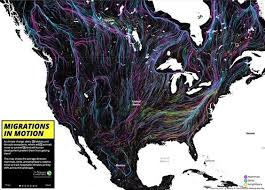Animal Migrations In Motion Animated Interactive Data Visualization Design Pattern Art Data Visualization Infographic