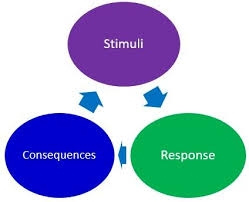 Behaviorism The Peak Performance Center Observational Learning Learning Theory Social Cognitive Theory