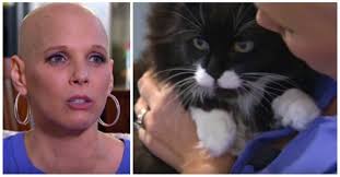 White cats are more at risk of skin cancer from sunlight exposure. Cat Detects Owner S Breast Cancer The Breast Cancer Site News