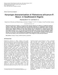 Image result for Platostoma africanum