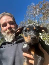 Paul Chenoweth (@chenowetharts) • Facebook