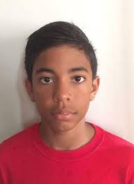 Hillview, Holy Name repeat as School Swim Champs