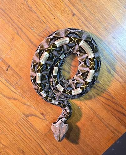 Gaboon vipers have the most amazing camouflage!