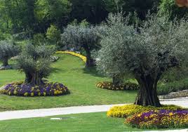 Creare Una Bella Aiuola Sotto L 39 Albero 20 Esempi Bellissimi Video Creare Una Bella Aiuola Oggi Aiuola Idee Giardino Roccioso Idee Decorazioni Giardino