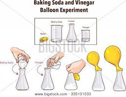 Baking Soda Images Illustrations Vectors Free Bigstock Sodium bicarbonate is a salt that breaks down to form sodium and bicarbonate in water. baking soda images illustrations