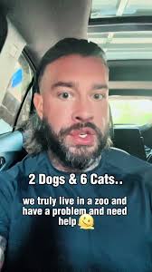 We officially live in a zoo.. Help us.. 2 dogs & 6 cats.. 🫠 #fyp #dog  #dogs #cat #kittens