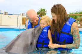 Ali the Dolphin - Picture of Dolphin Discovery Los Cabos, San Jose ...