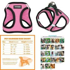 Voyager Step In Air Dog Harness All Weather Mesh Step In Vest Harness For Sma