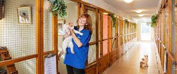 Only dog and pet owners can relate to how important it is to find the right daycare for your fur baby. Royal Pets Hotel Spa Best Of Toronto Dog And Cat Boarding In Barrie