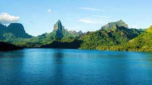 Image result for Marquesia macroura