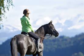 The breed is famous for its calm demeanor and steady, even gait—though many have lost these qualities due to years of. Choosing The Right Horse For Happy Trails The Horse