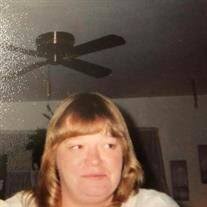 Darci Lynne Mitchell Obituary