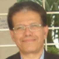 PDF) Auréoles berbères. Mélanges offerts à Michael Peyron