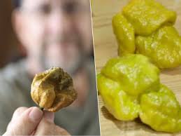 De Pepper X is vanaf nu de heetste peper ter wereld: 'Een uur lang plat van  de pijn na het eten ervan'