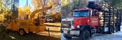 Not only to the tree but also to trimming is the process of removing unwanted parts of a tree. Levesque Wood Company