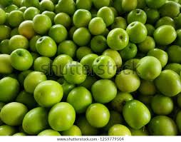 Pokok kita sudah stabil dan sihat. Buah Bidara In English What Is Bael Fruit Called In English Quora Daun Bidara Yang Dikenal Bermanfaat Untuk Kesehatan Ini Memilih Buah Yang Biasanya Tumbuh Di Tempat Kering