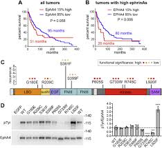 The living environment (student edition) answers. A Cancer Mutation Promotes Epha4 Oligomerization And Signaling By Altering The Conformation Of The Sam Domain Journal Of Biological Chemistry