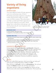Vacuoles are like large storage containers within a this is the plant's central vacuole. Edexcel International Gcse Science Biology Sample Chapter By Collins Issuu
