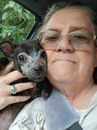 Foster pups and dogs adoption stories