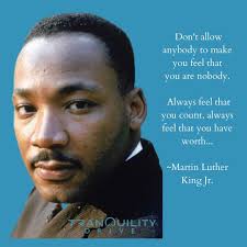 Tranquility Drive (@tranquilitydrive) • Instagram photos and videos