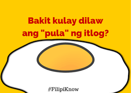 We're about to find out if you know all about greek gods, green eggs and ham, and zach galifianakis. 11 Serious Answers To Mind Blowing Pinoy Questions Mind Blown Pinoy Question Meme