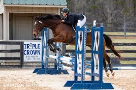 Cora Williamson (@cora_eventing_) • Instagram photos and videos