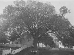 Atrakcija indiana state capitol, indianapolis: Corydon Capitol Indiana State Museum