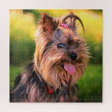 Yorkshire Terrier Puzzle Zazzle Com Yorkshire Terrier Dog Yorkshire Terrier Yorkshire Terrier Puppies